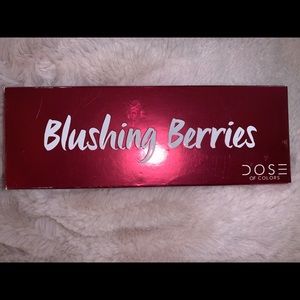 NIB Dose of Colors Blushing Berries palette
